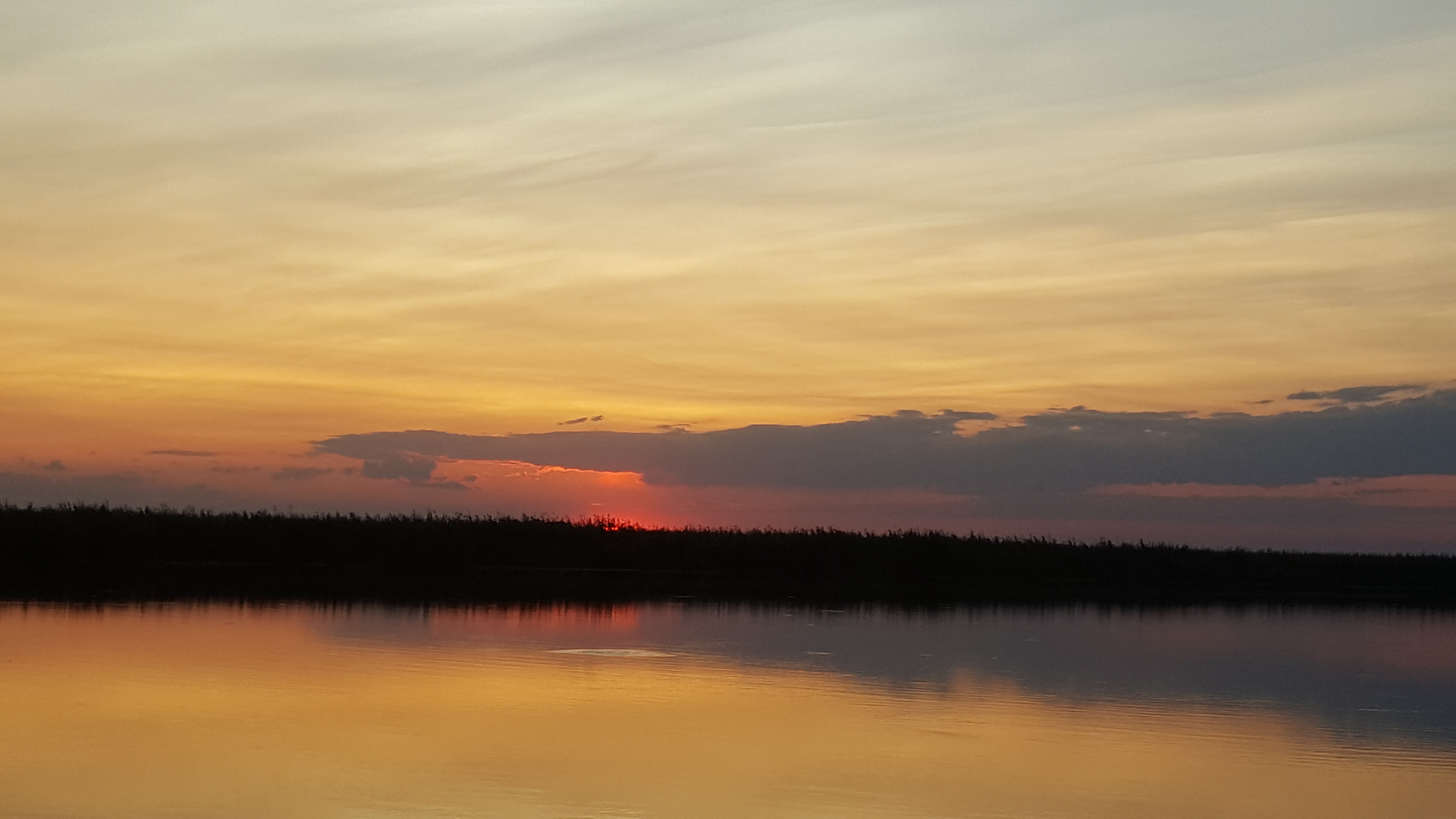 Apus - Lacul Erenciuc - Delta Dunarii 1